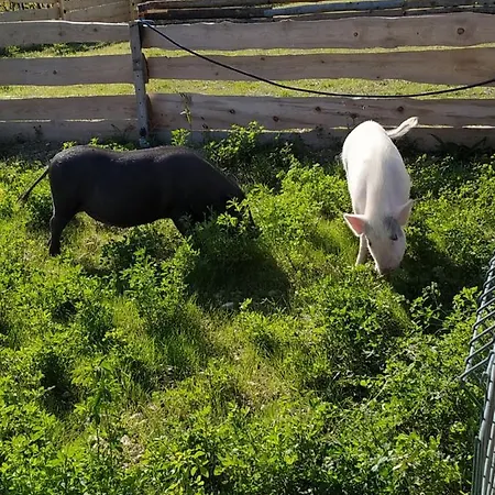 A La Ferme