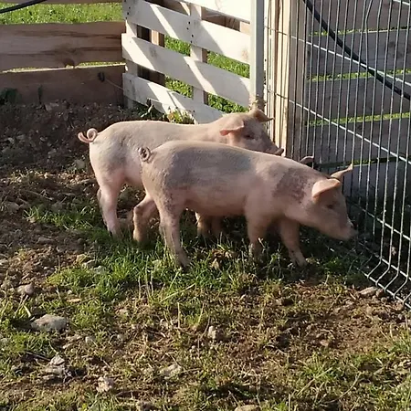 Ferienhaus A La Ferme Laudun