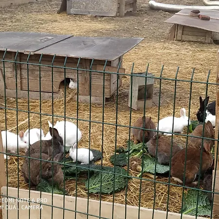 Casa de Férias à La Ferme Laudun