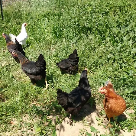 Сasa de vacaciones A La Ferme